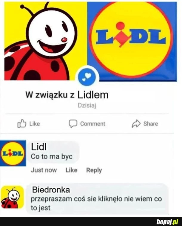 
    Reakcja internetu na wojnę pomiędzy Lidlem a Biedronką