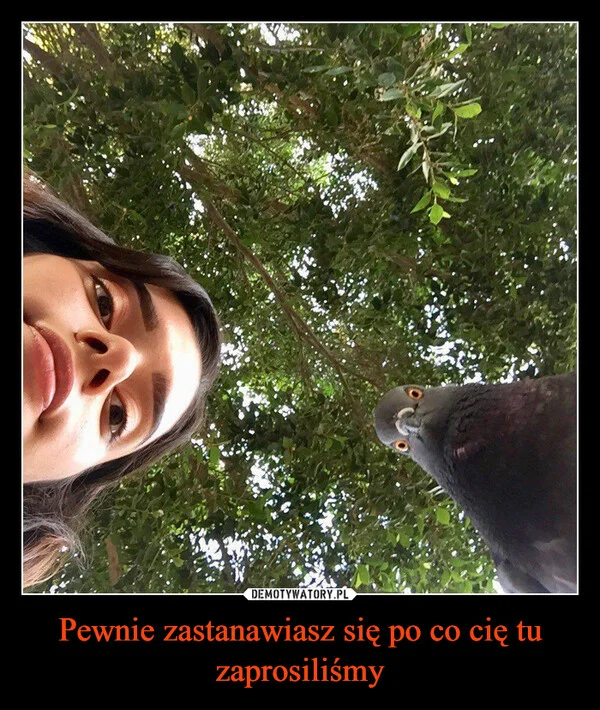 
    Pewnie zastanawiasz się po co cię tu zaprosiliśmy