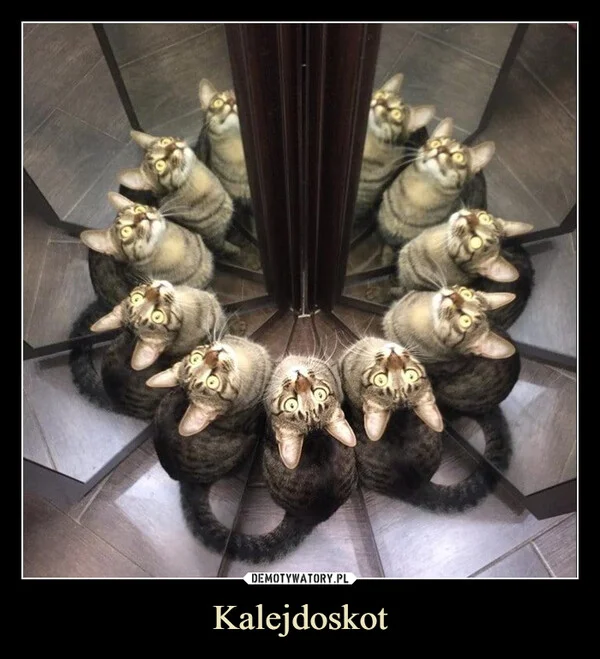 Kalejdoskot