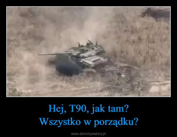 
    Hej, T90, jak tam? Wszystko w porządku?