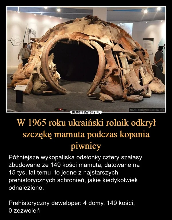 
    W 1965 roku ukraiński rolnik odkrył szczękę mamuta podczas kopania piwnicy
