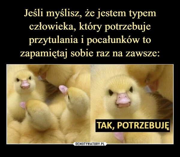 
    Jeśli myślisz, że jestem typem człowieka, który potrzebuje przytulania i pocałunków to zapamiętaj sobie raz na zawsze: