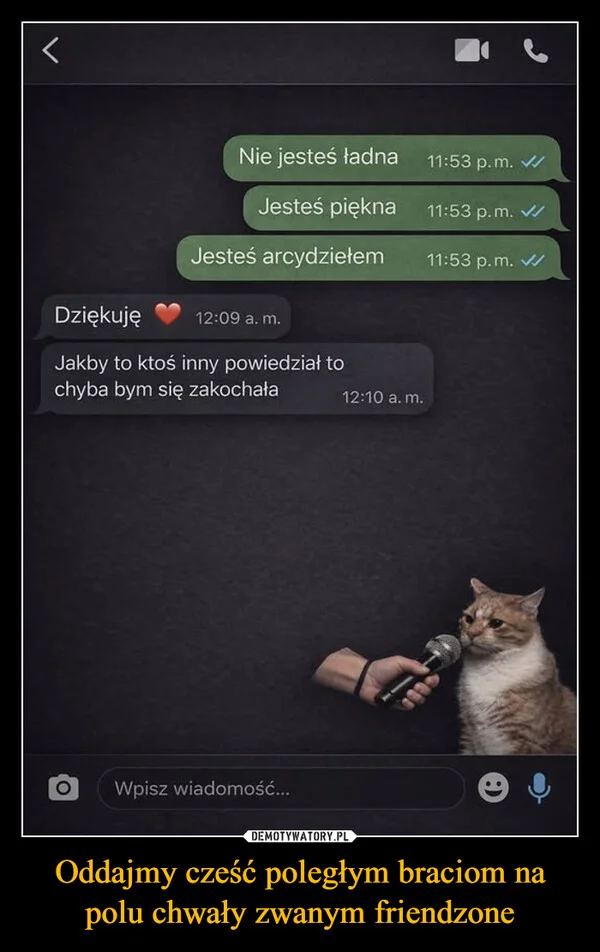 
    Oddajmy cześć poległym braciom na polu chwały zwanym friendzone