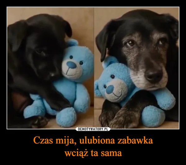 
    Czas mija, ulubiona zabawka wciąż ta sama