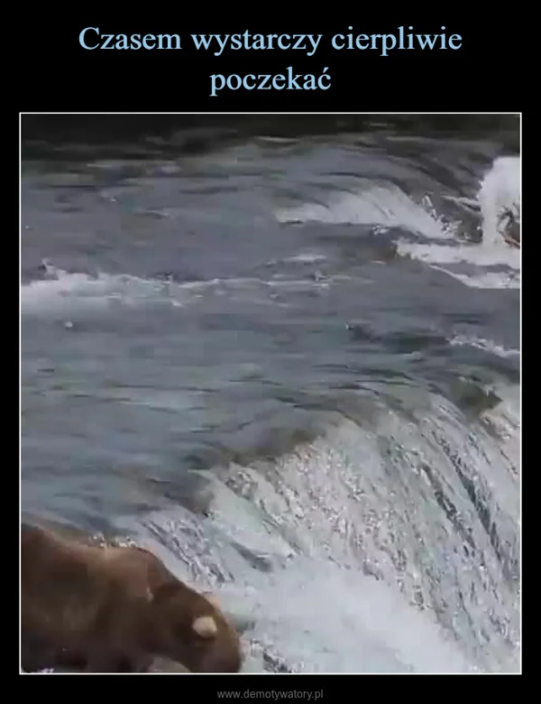 
    Czasem wystarczy cierpliwie poczekać