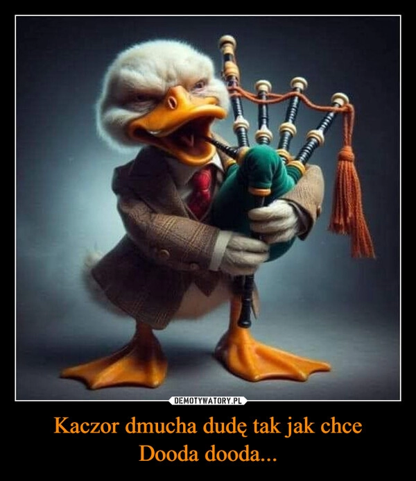 
    Kaczor dmucha dudę tak jak chce
Dooda dooda...