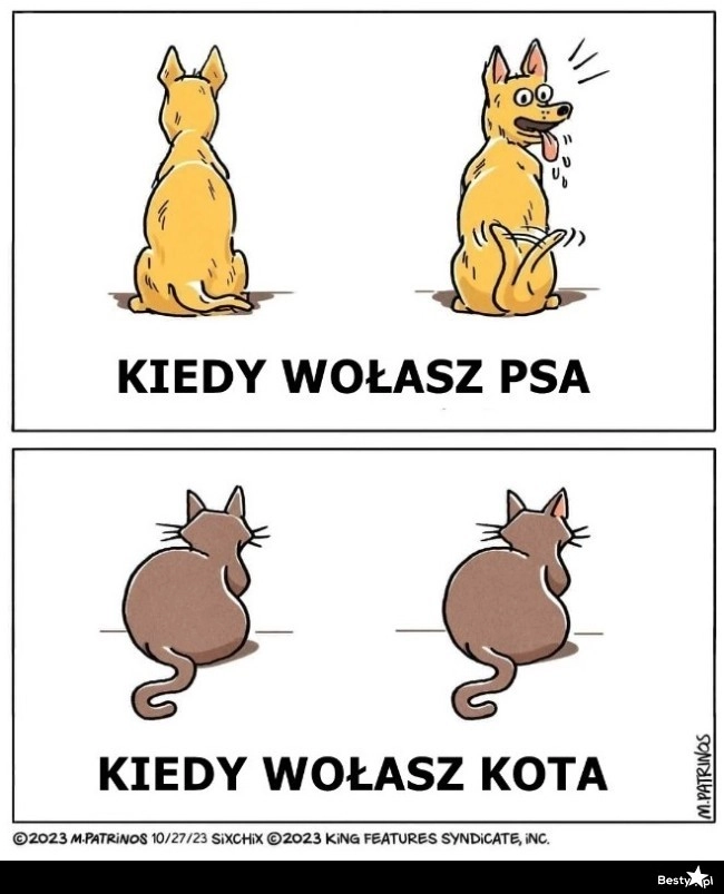 
    Jedno jest pewne - na pewno to słyszał 