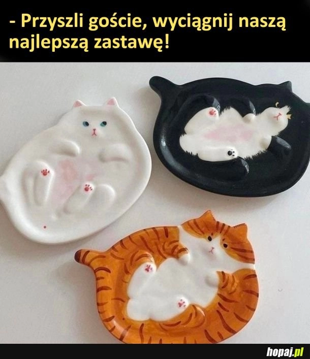 
    Najlepsza zastawa