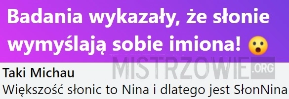 
    Słonie