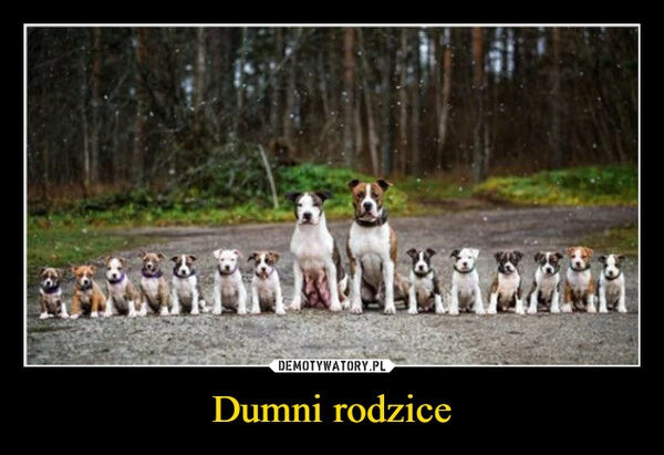 
    Dumni rodzice