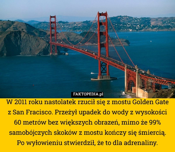 
    W 2011 roku nastolatek rzucił się z mostu Golden Gate z San Fracisco. Przeżył