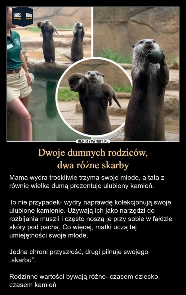
    Dwoje dumnych rodziców, dwa różne skarby