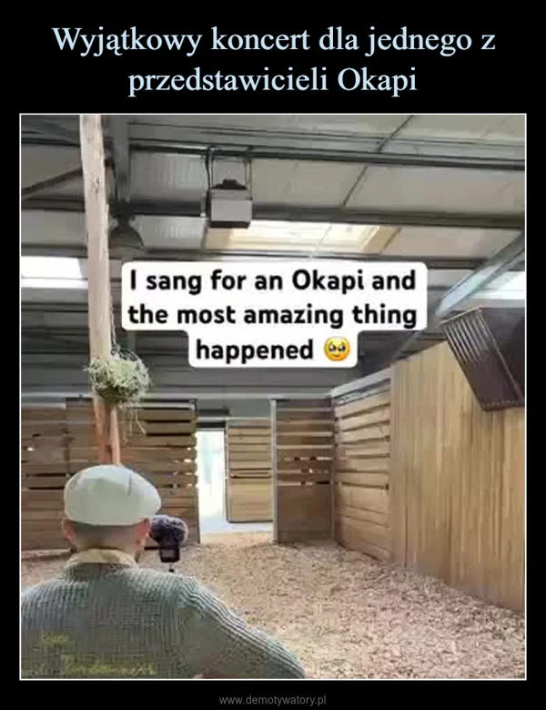 Wyjątkowy koncert dla jednego z przedstawicieli Okapi
