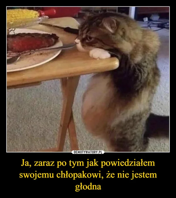 
    Ja, zaraz po tym jak powiedziałem swojemu chłopakowi, że nie jestem głodna