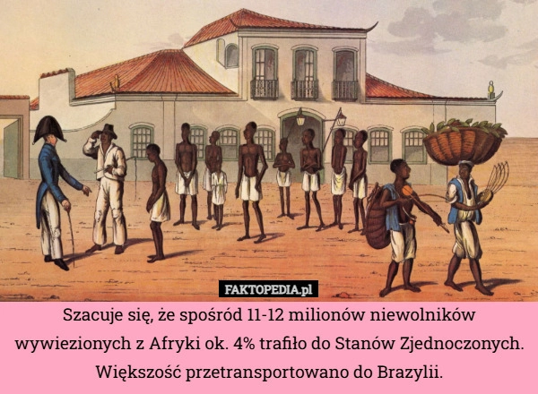 
    Szacuje się, że spośród 11-12 milionów niewolników wywiezionych z Afryki