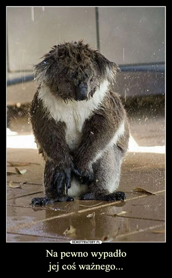 
    Na pewno wypadło jej coś ważnego...