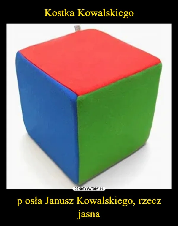 
    Kostka Kowalskiego p osła Janusz Kowalskiego, rzecz jasna