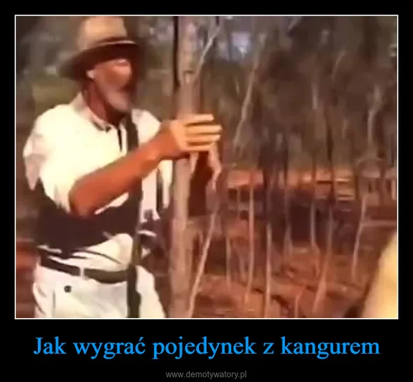 
    Jak wygrać pojedynek z kangurem
