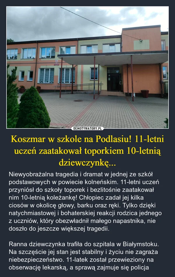 Koszmar w szkole na Podlasiu! 11-letni uczeń zaatakował toporkiem 10-letnią dziewczynkę...