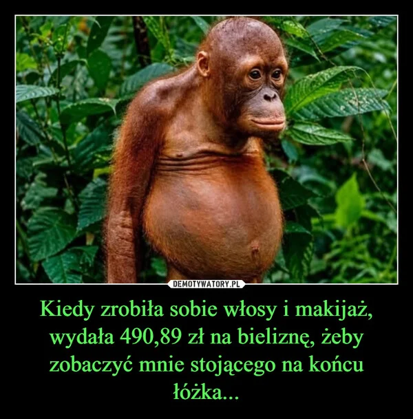 
    Kiedy zrobiła sobie włosy i makijaż, wydała 490,89 zł na bieliznę, żeby zobaczyć mnie stojącego na końcu łóżka...