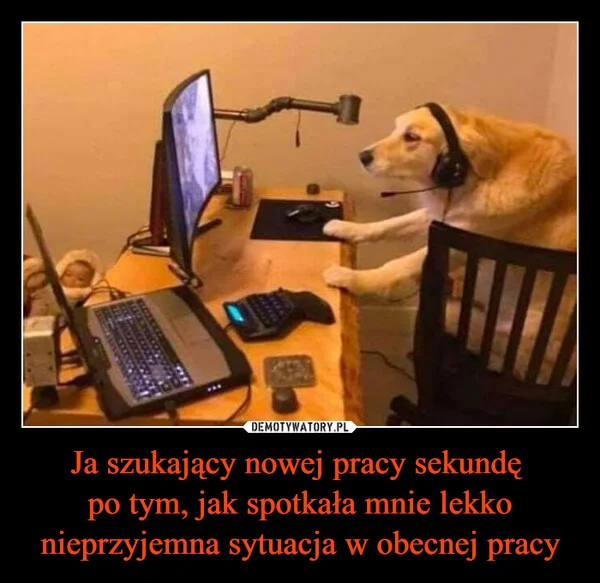 
    Ja szukający nowej pracy sekundę po tym, jak spotkała mnie lekko nieprzyjemna sytuacja w obecnej pracy