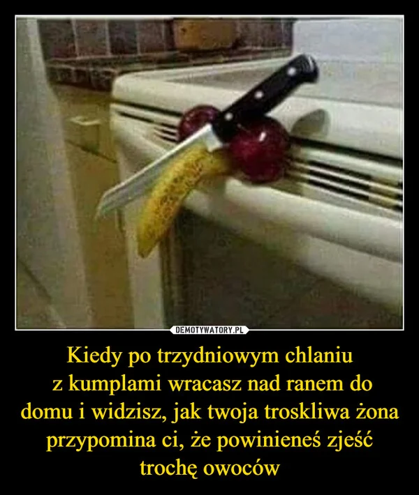 
    Kiedy po trzydniowym chlaniu z kumplami wracasz nad ranem do domu i widzisz, jak twoja troskliwa żona przypomina ci, że powinieneś zjeść trochę owoców