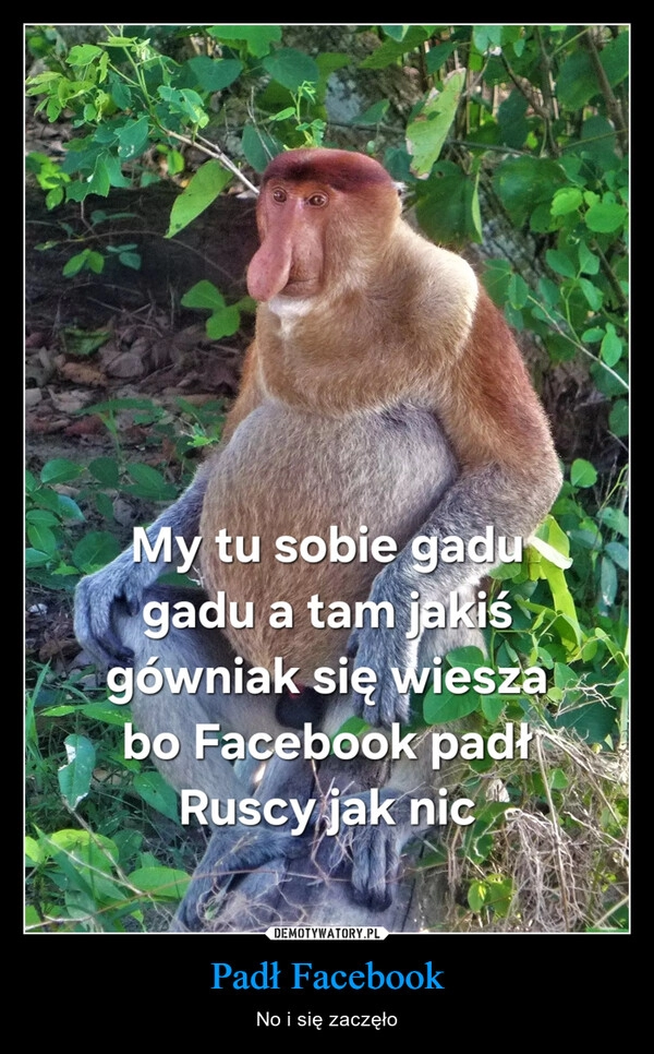 
    Padł Facebook