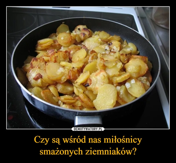 
    Czy są wśród nas miłośnicy
smażonych ziemniaków?