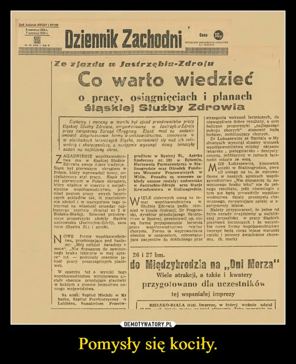 
    Pomysły się kociły.