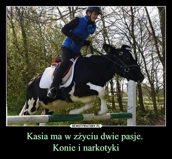 
    Kasia ma w zżyciu dwie pasje. 
Konie i narkotyki