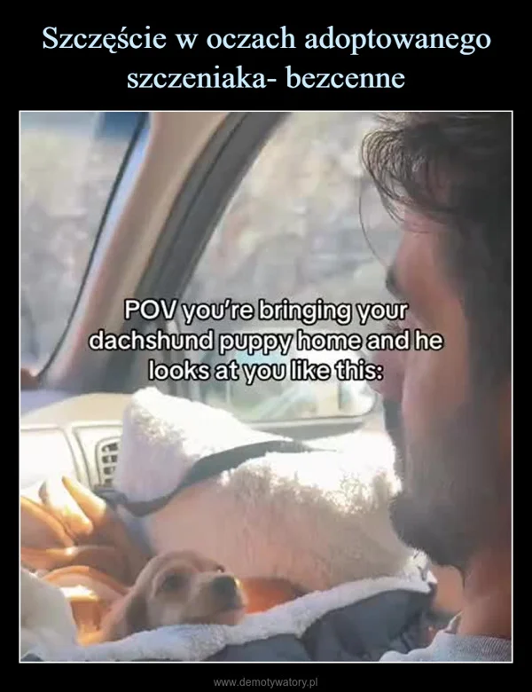 
    Szczęście w oczach adoptowanego szczeniaka- bezcenne