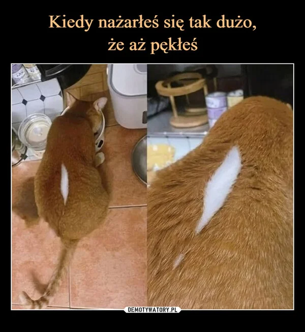 
    Kiedy nażarłeś się tak dużo, że aż pękłeś