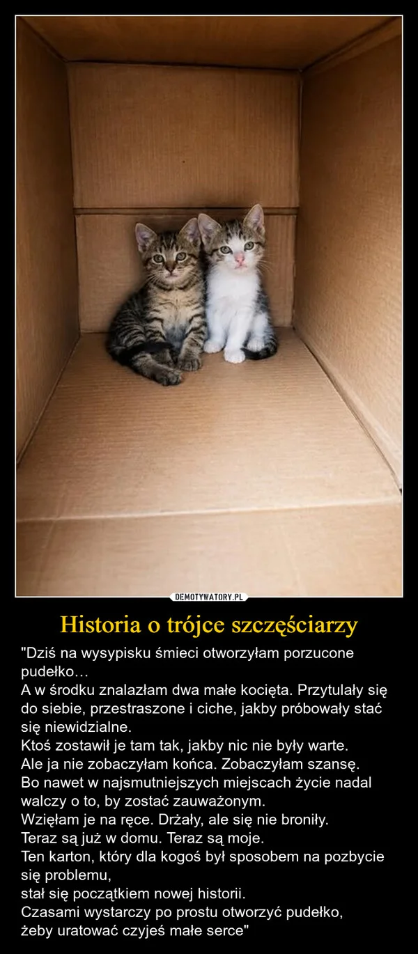 
    Historia o trójce szczęściarzy