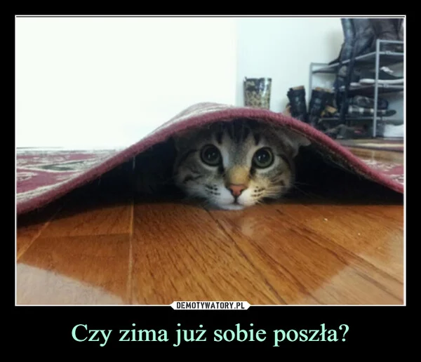 
    Czy zima już sobie poszła?