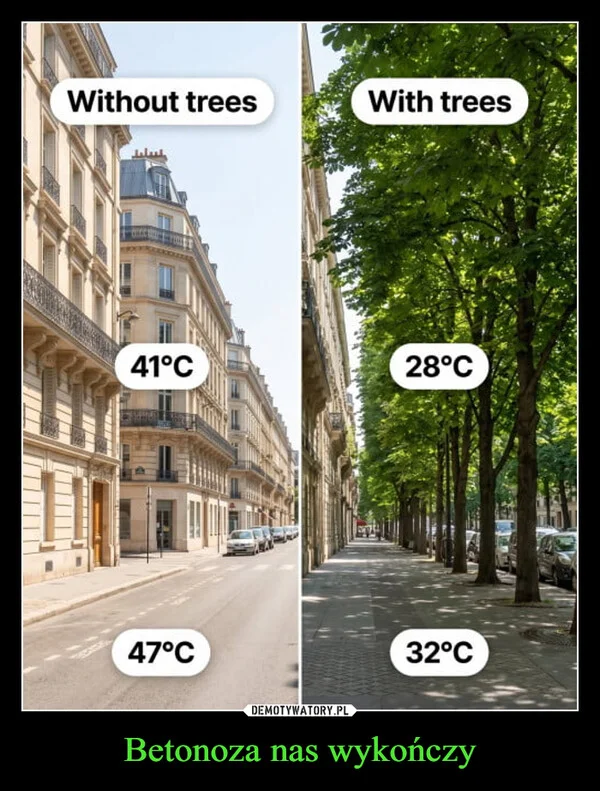
    Betonoza nas wykończy