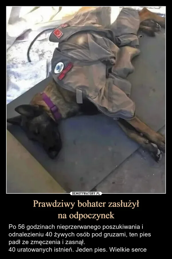 
    Prawdziwy bohater zasłużył na odpoczynek