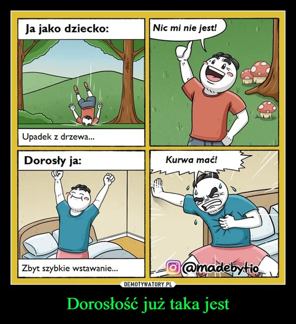 
    Dorosłość już taka jest