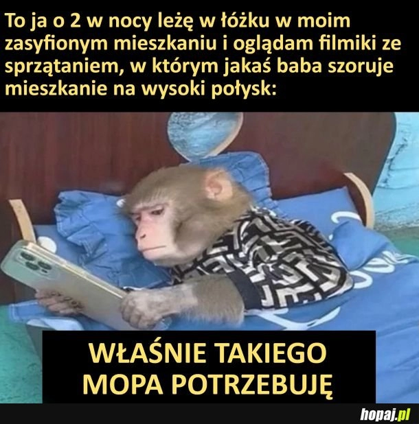 
    Potrzebuję tego