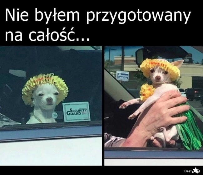 
    Co za strój 