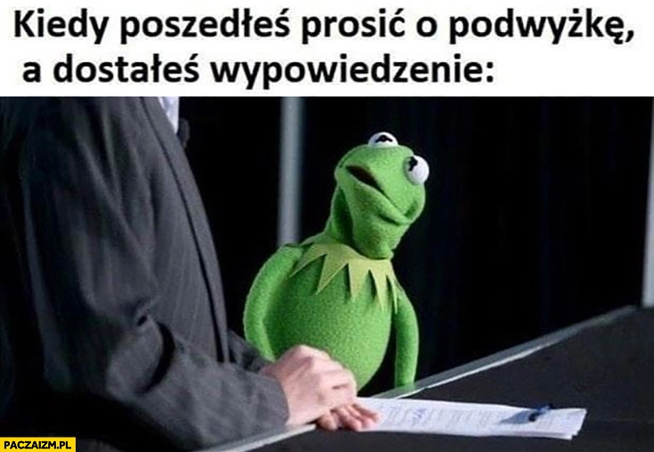 
    Kermit kiedy poszedłeś prosić o podwyżkę a dostałeś wypowiedzenie