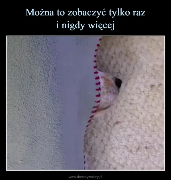Można to zobaczyć tylko raz i nigdy więcej