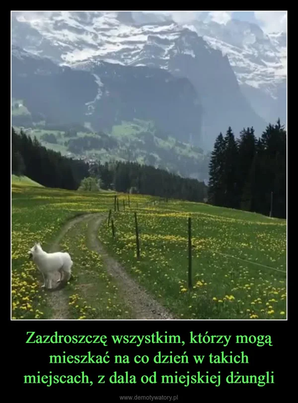 
    Zazdroszczę wszystkim, którzy mogą mieszkać na co dzień w takich miejscach, z dala od miejskiej dżungli