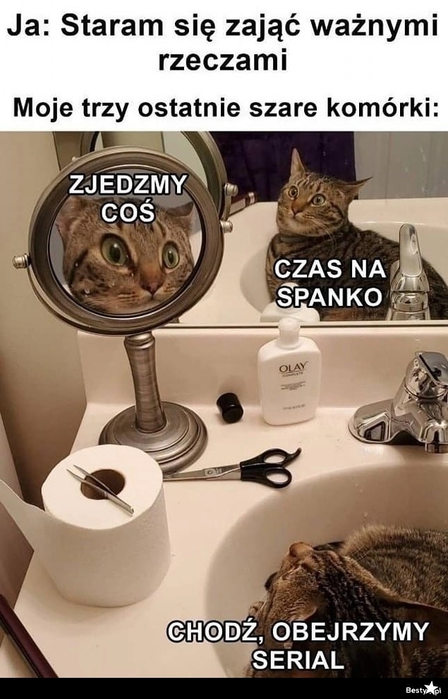 
    3 ostatnie szare komórki 