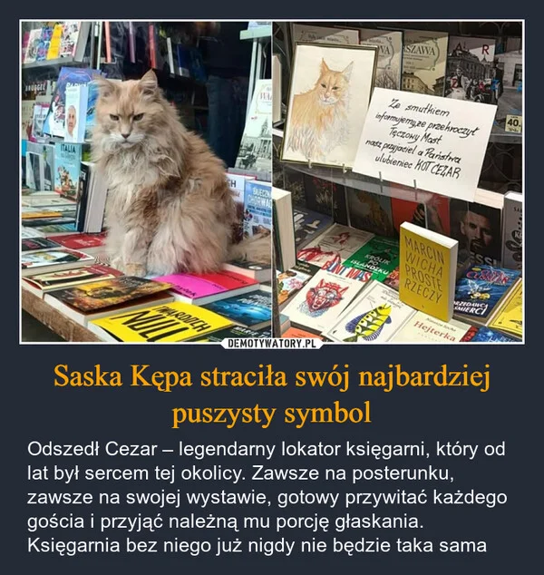 
    Saska Kępa straciła swój najbardziej puszysty symbol