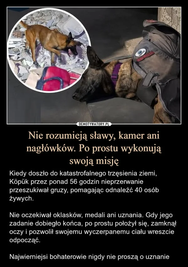 
    Nie rozumieją sławy, kamer ani nagłówków. Po prostu wykonują swoją misję