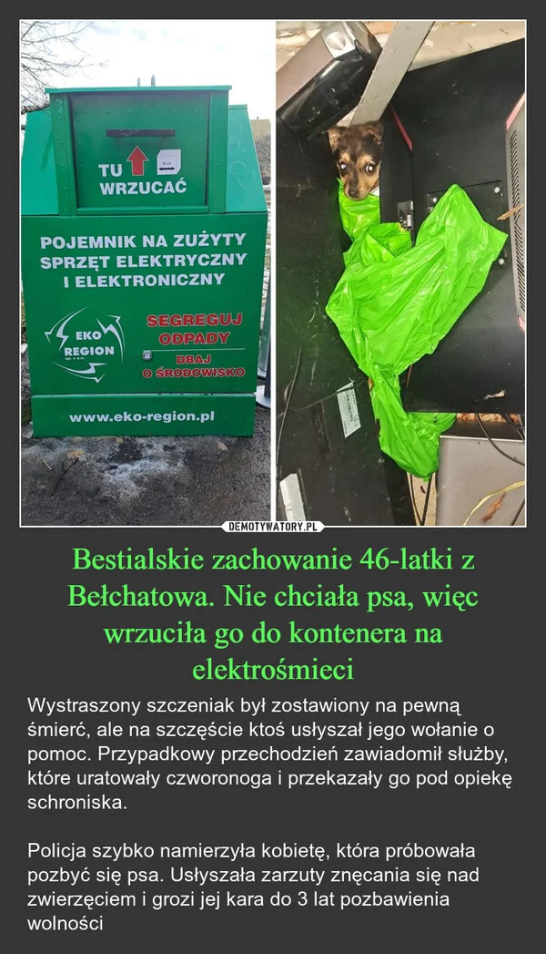 
    Bestialskie zachowanie 46-latki z Bełchatowa. Nie chciała psa, więc wrzuciła go do kontenera na elektrośmieci