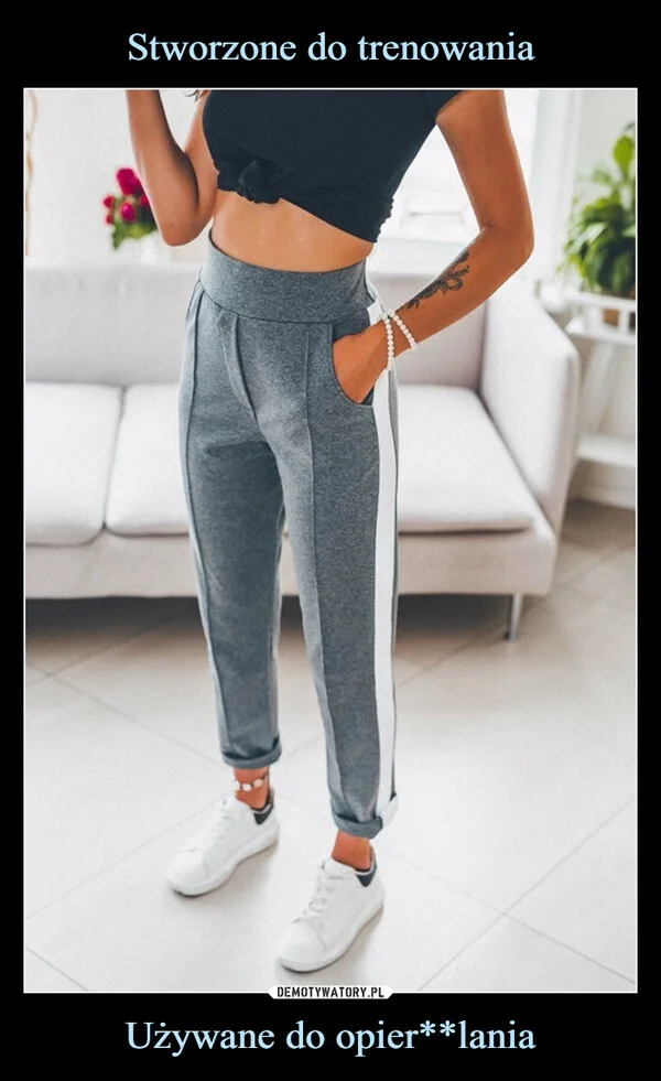 
    Stworzone do trenowania Używane do opier**lania