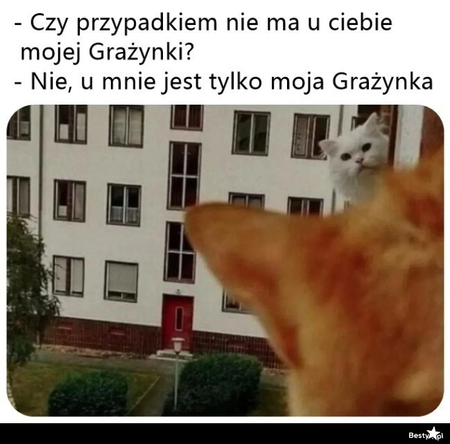 
    Grażynka 