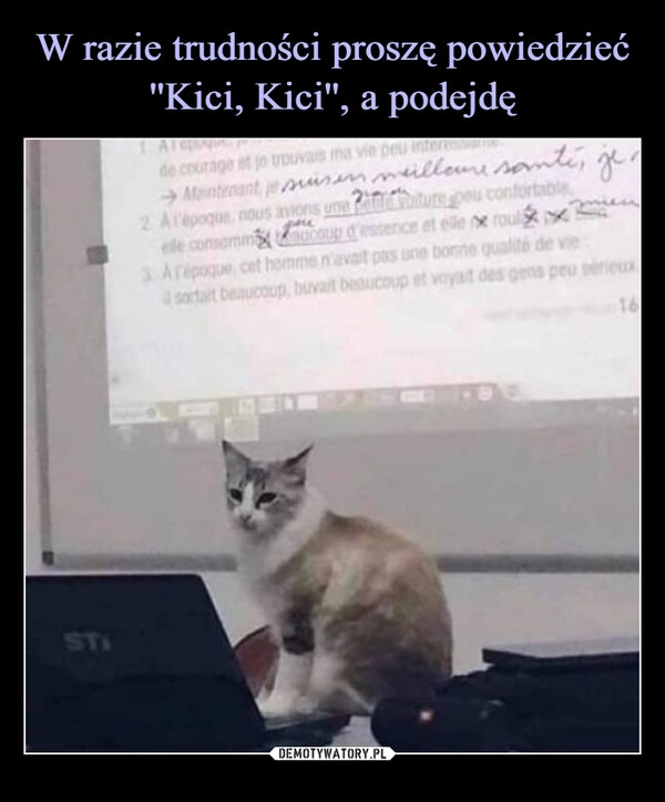 
    W razie trudności proszę powiedzieć ''Kici, Kici'', a podejdę