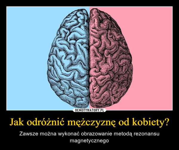 
    Jak odróżnić mężczyznę od kobiety?